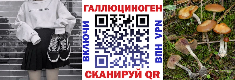 Псилоцибиновые грибы MAGIC MUSHROOMS  Купить  Зерноград 