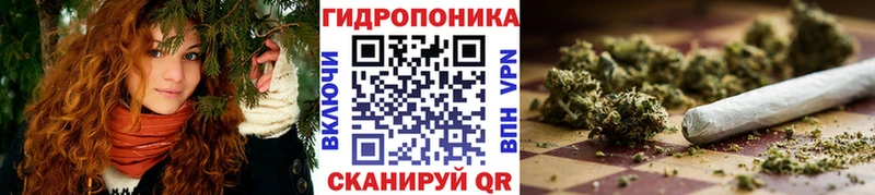 Купить  Зерноград  Бошки Шишки ГИДРОПОН 